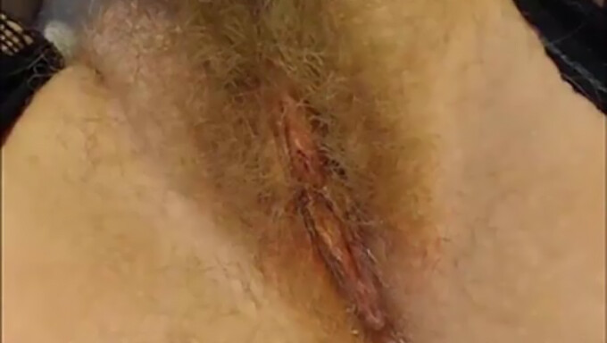 Close Up Of A Hairy Blonde Pussy