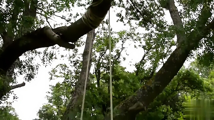 Tittenspiele Der Freundin Im Garten