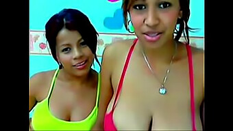 Tjocka Brasilianska Babes Dulce Och Ana Blir Stygga På Cam